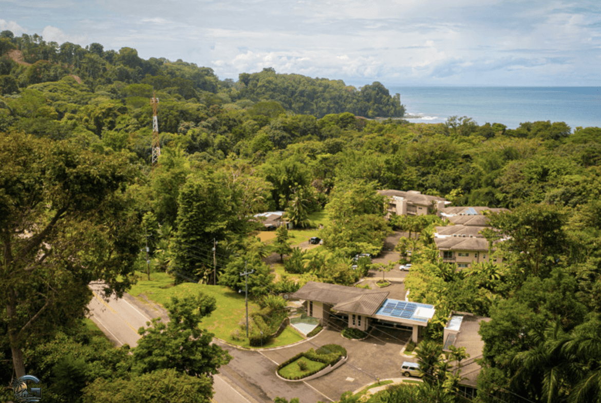 צילום מסך 2024-01-28 ב-17.31.53