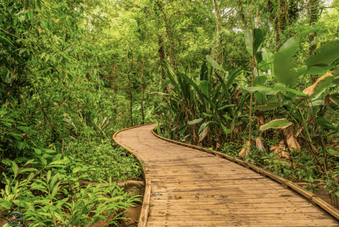 צילום מסך 2024-01-28 ב-17.31.58