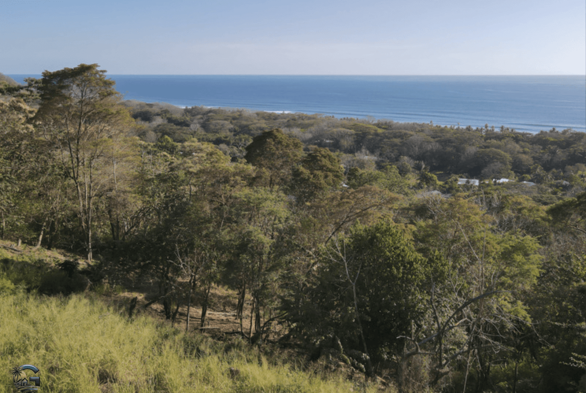 צילום מסך 2024-01-29 ב-10.17.52