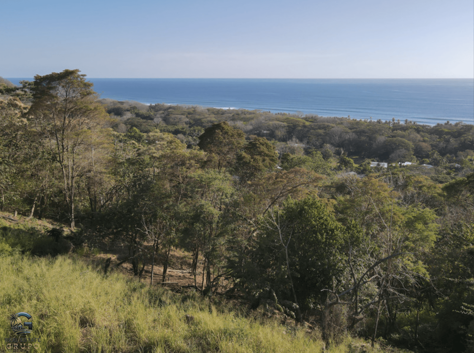 צילום מסך 2024-01-29 ב-10.17.52