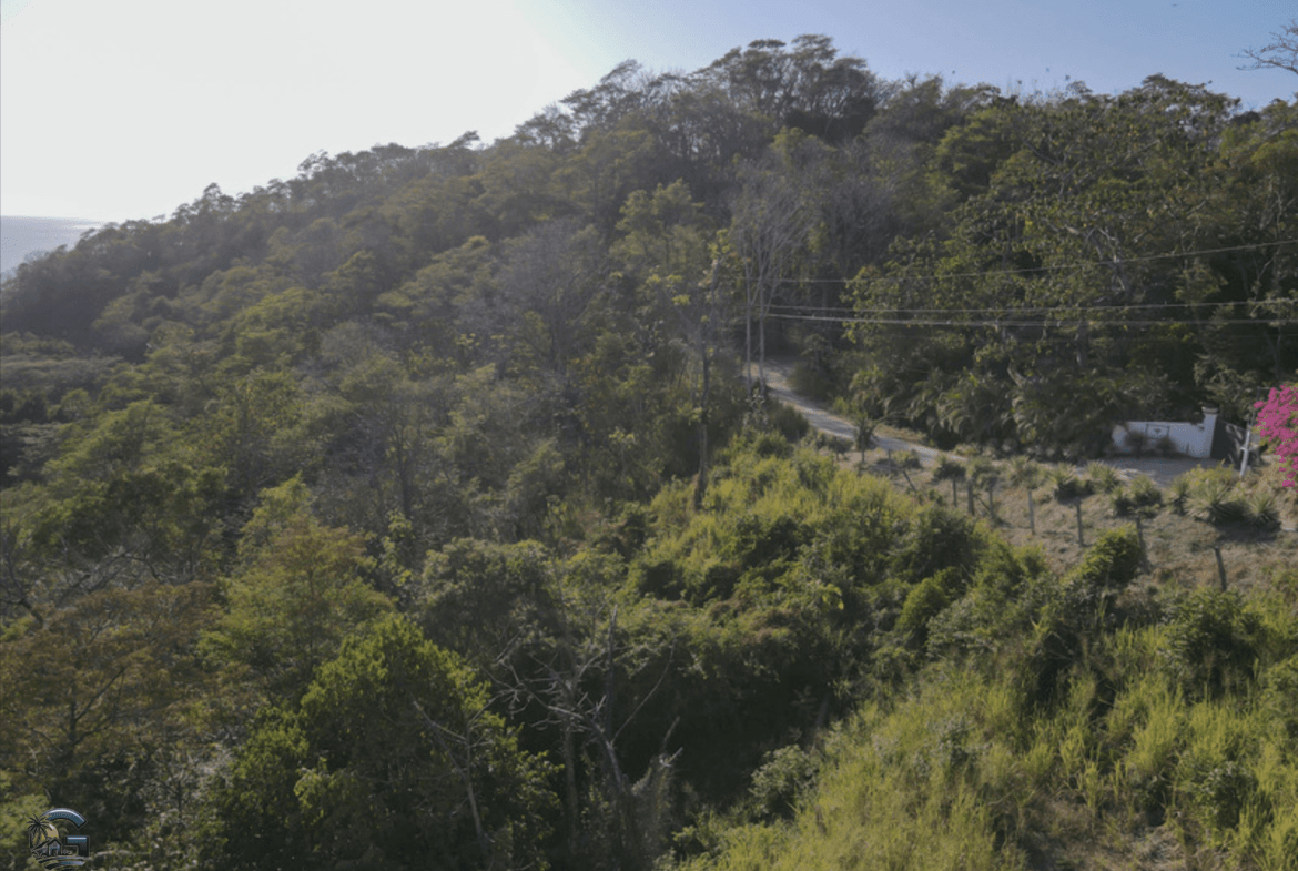 צילום מסך 2024-01-29 ב-10.17.56