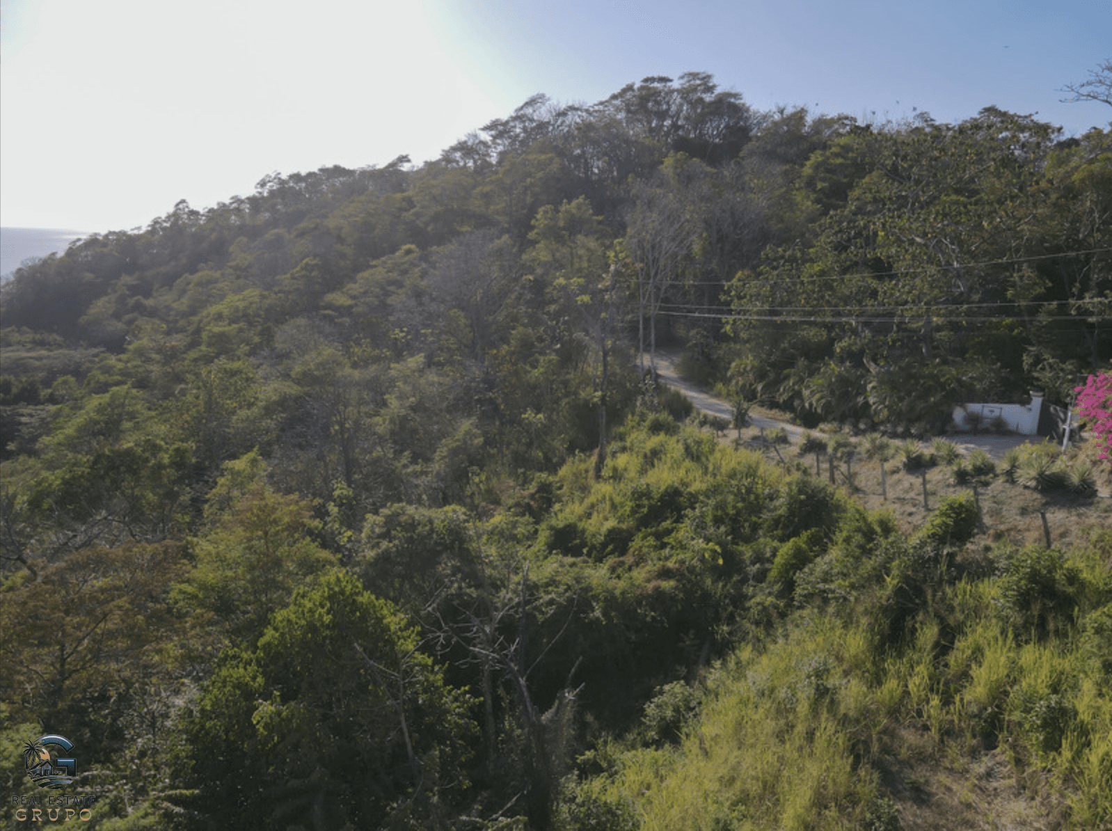 צילום מסך 2024-01-29 ב-10.17.56