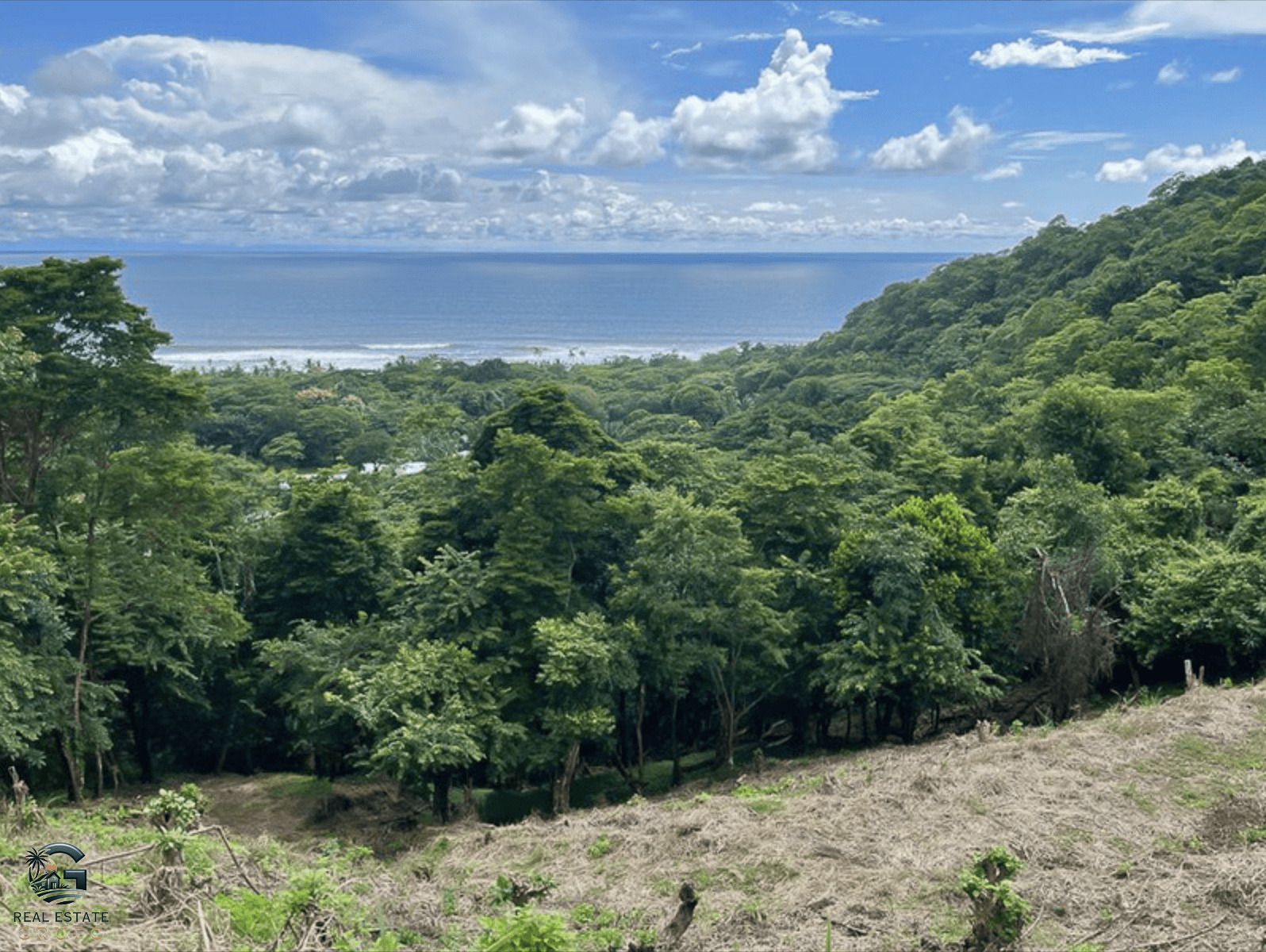 צילום מסך 2024-01-29 ב-10.18.01