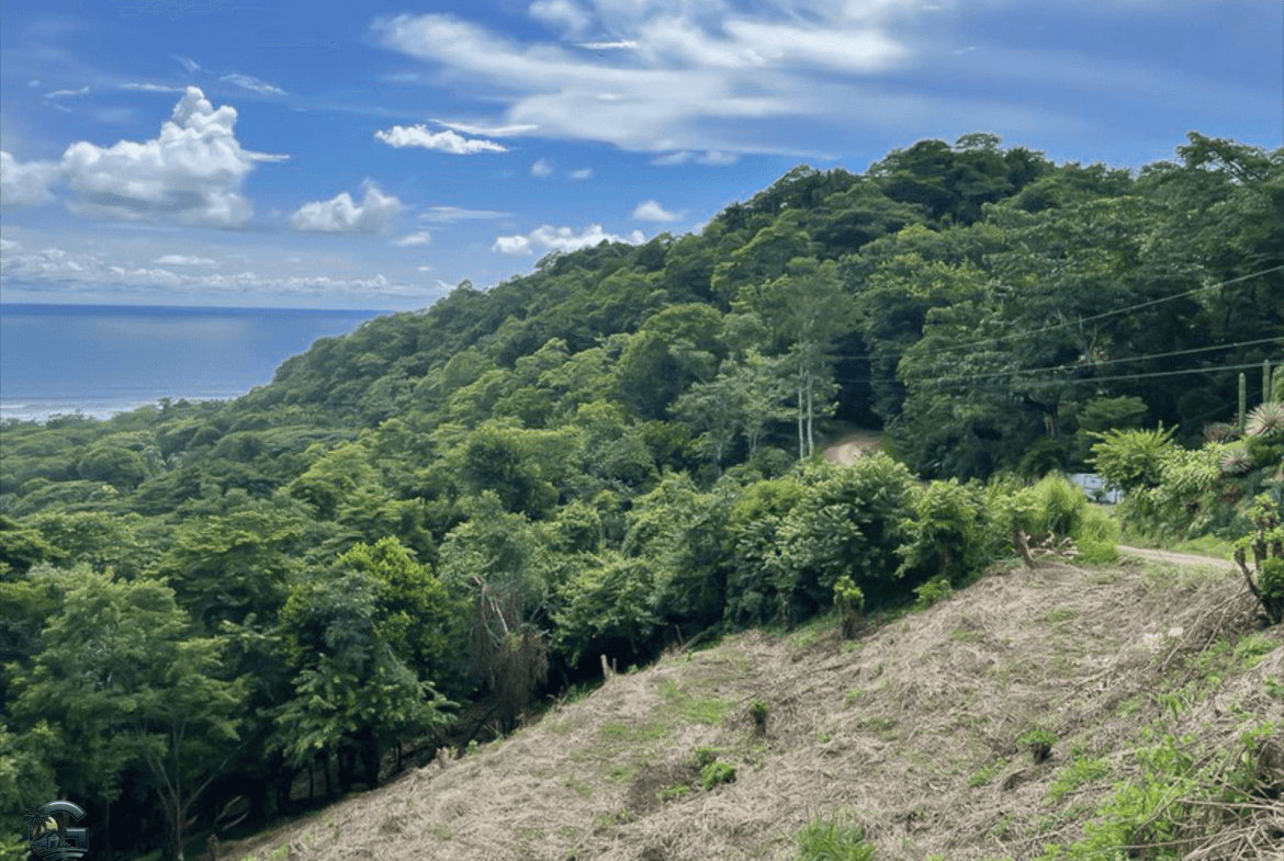 צילום מסך 2024-01-29 ב-10.18.05