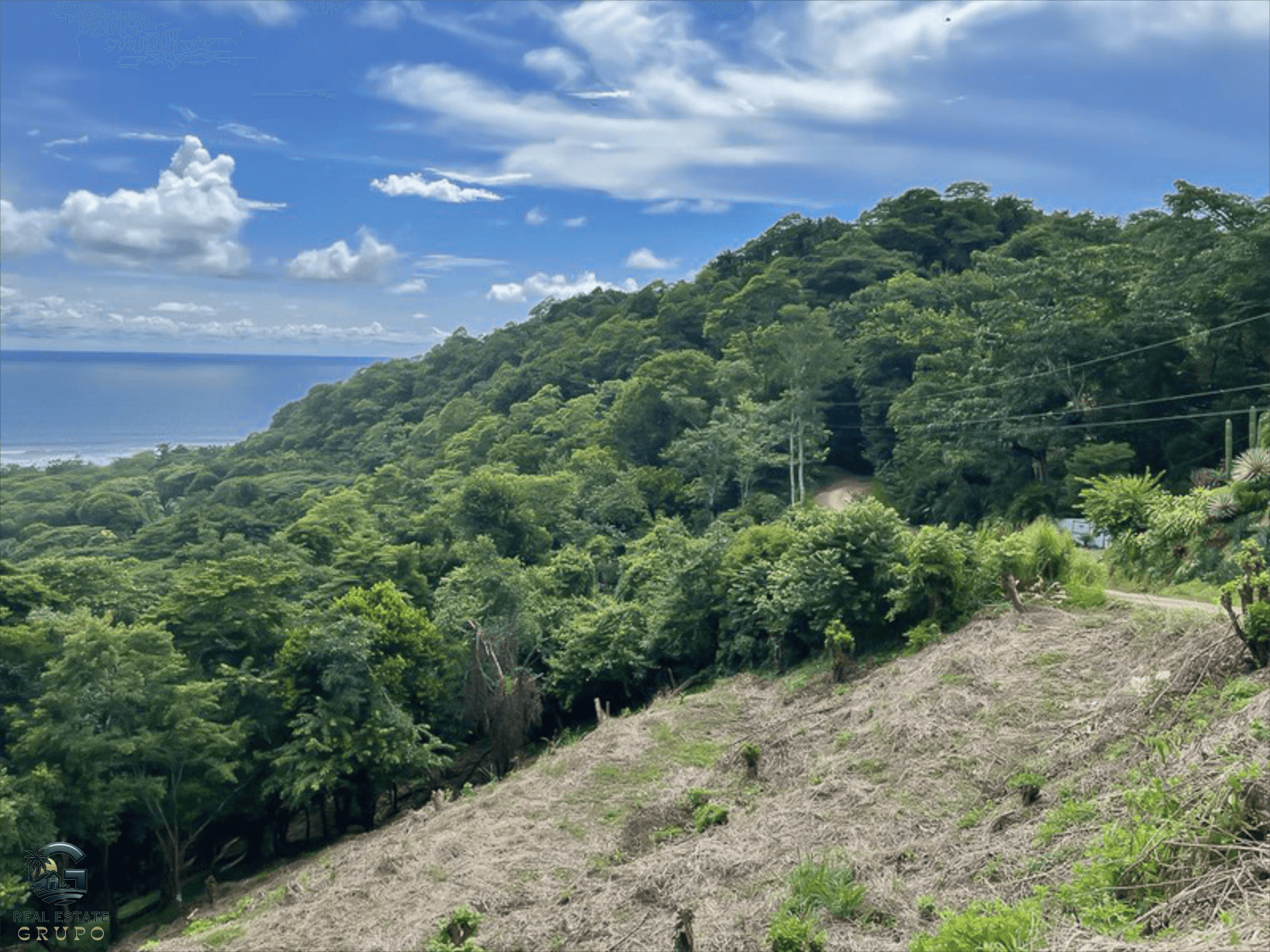 צילום מסך 2024-01-29 ב-10.18.05