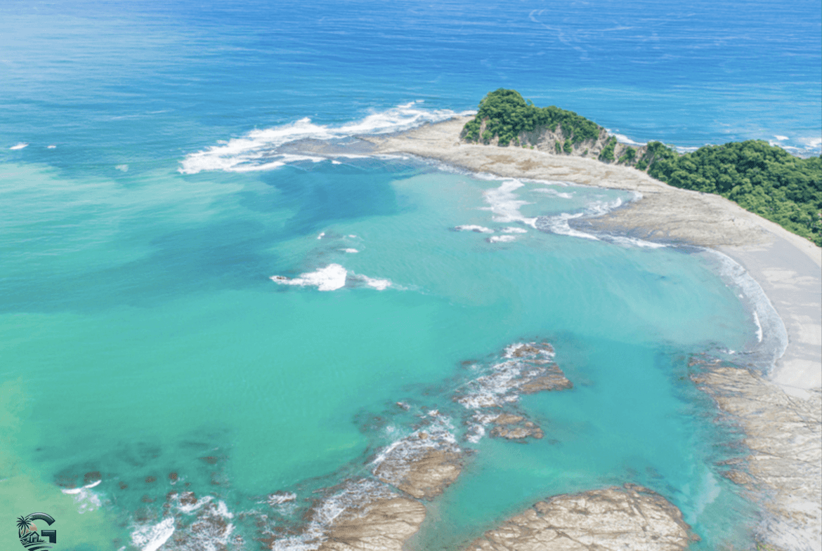 צילום מסך 2024-01-30 ב-11.17.24