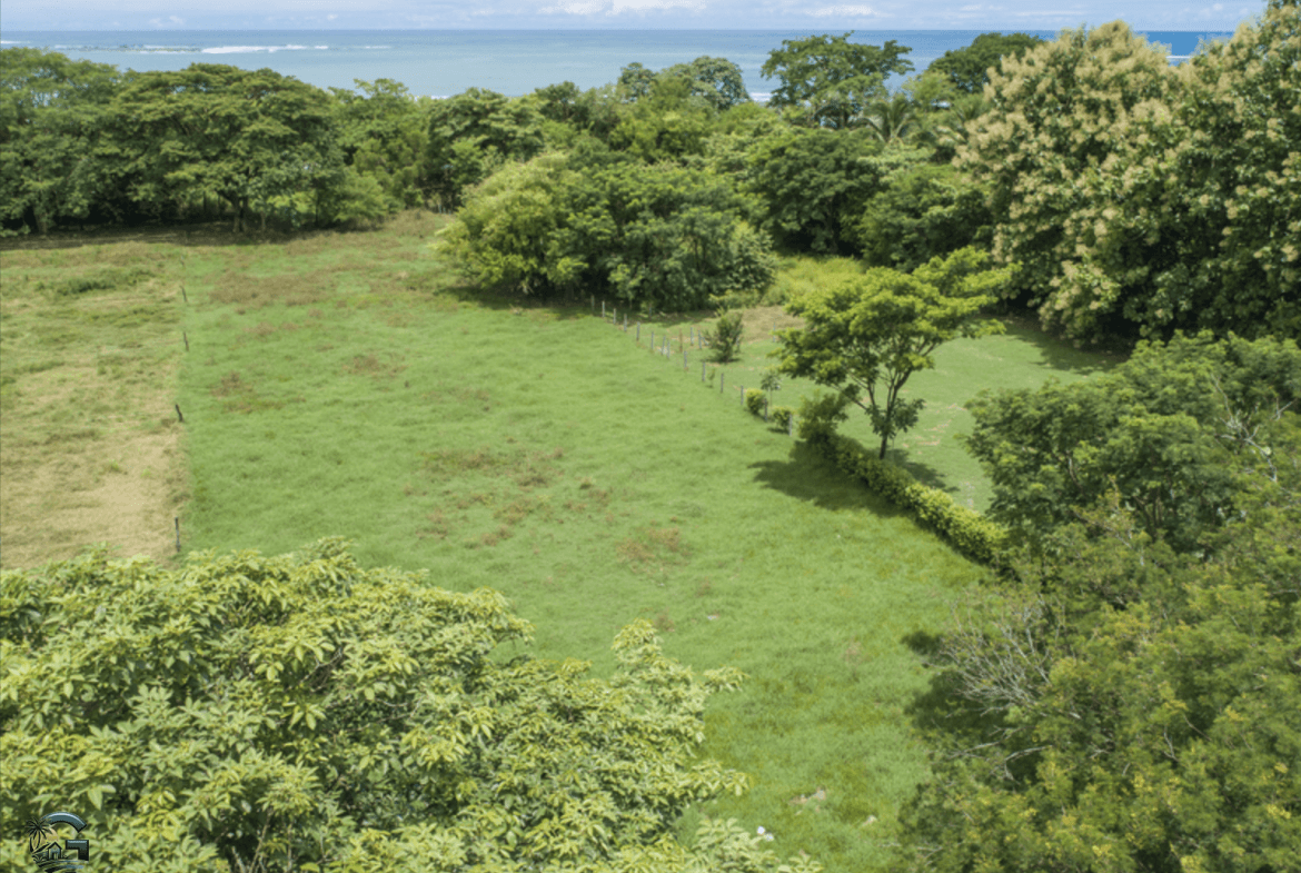 צילום מסך 2024-01-30 ב-11.17.34