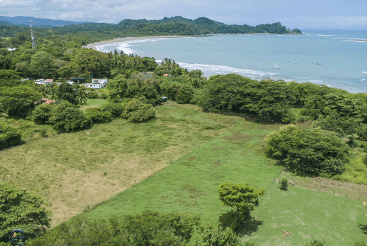 צילום מסך 2024-01-30 ב-11.17.42