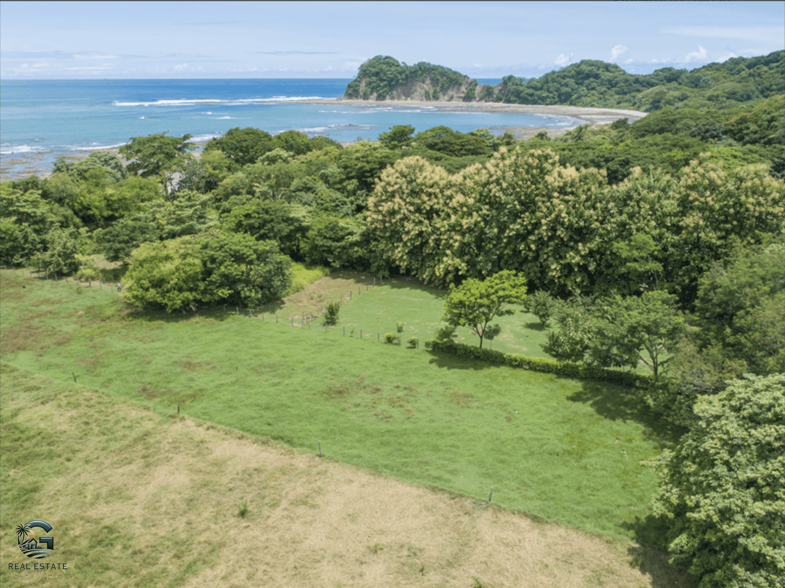 צילום מסך 2024-01-30 ב-11.17.46