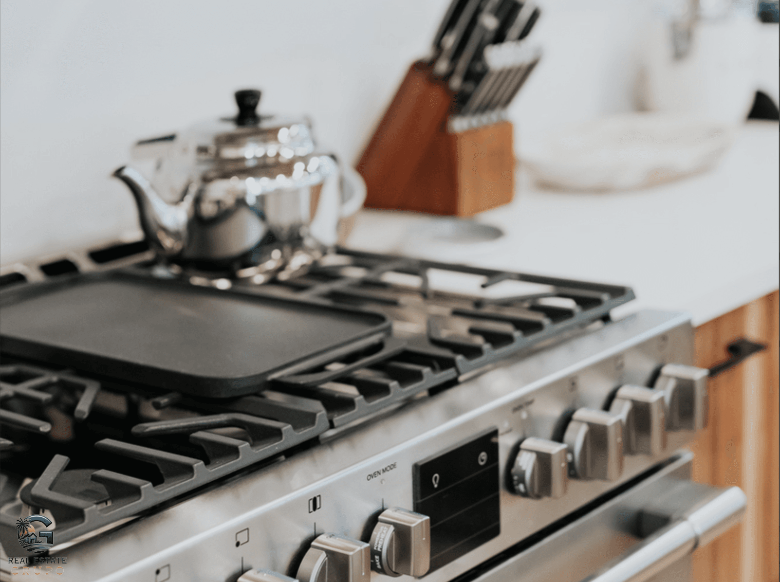 צילום מסך 2024-01-30 ב-12.14.56