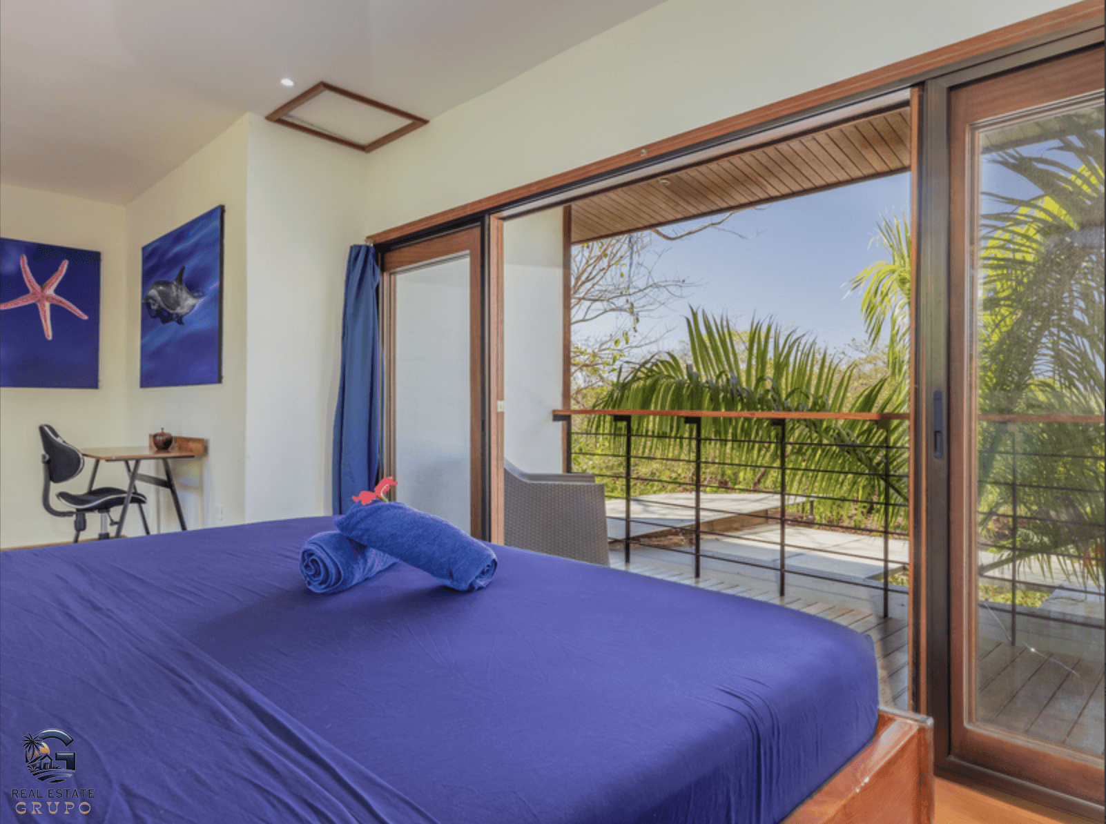 צילום מסך 2024-01-30 ב-12.41.58