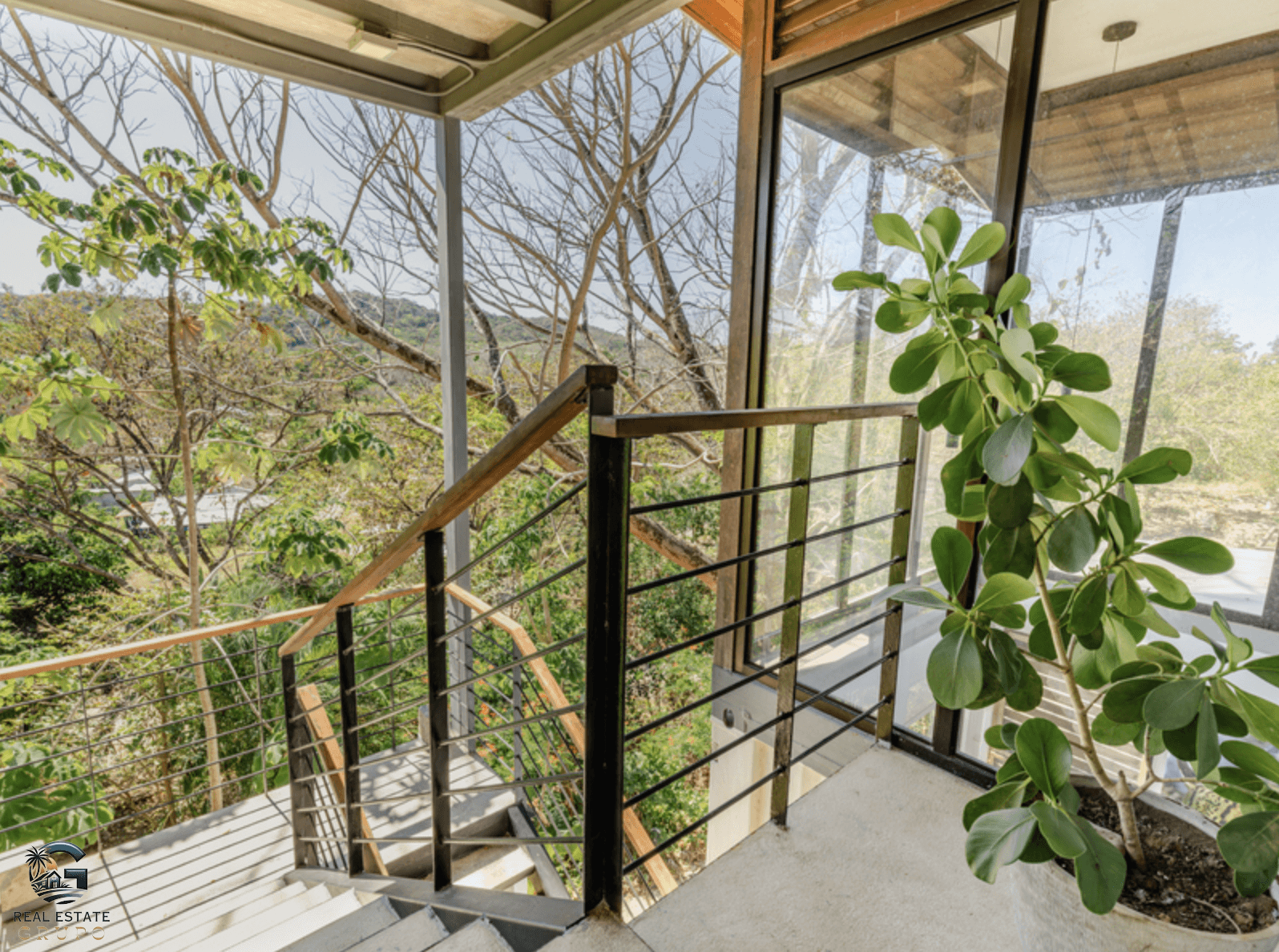 צילום מסך 2024-01-30 ב-12.42.58