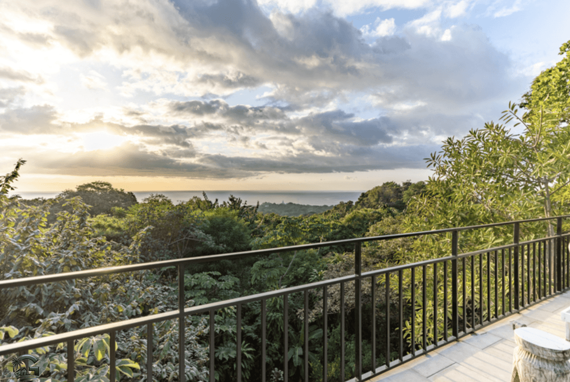 צילום מסך 2024-01-30 ב-13.22.21