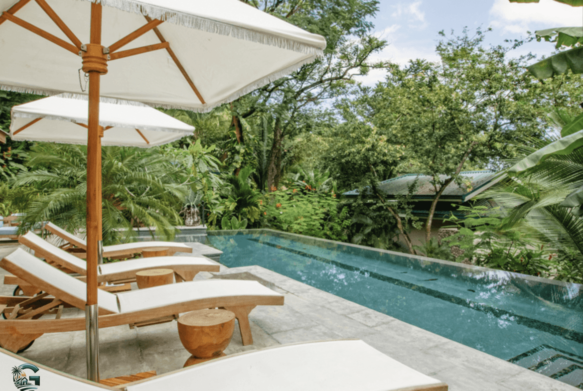 צילום מסך 2024-01-30 ב-15.14.07