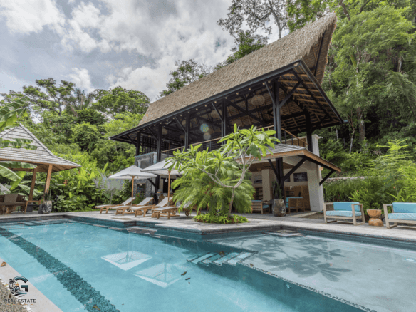 צילום מסך 2024-01-30 ב-15.15.03