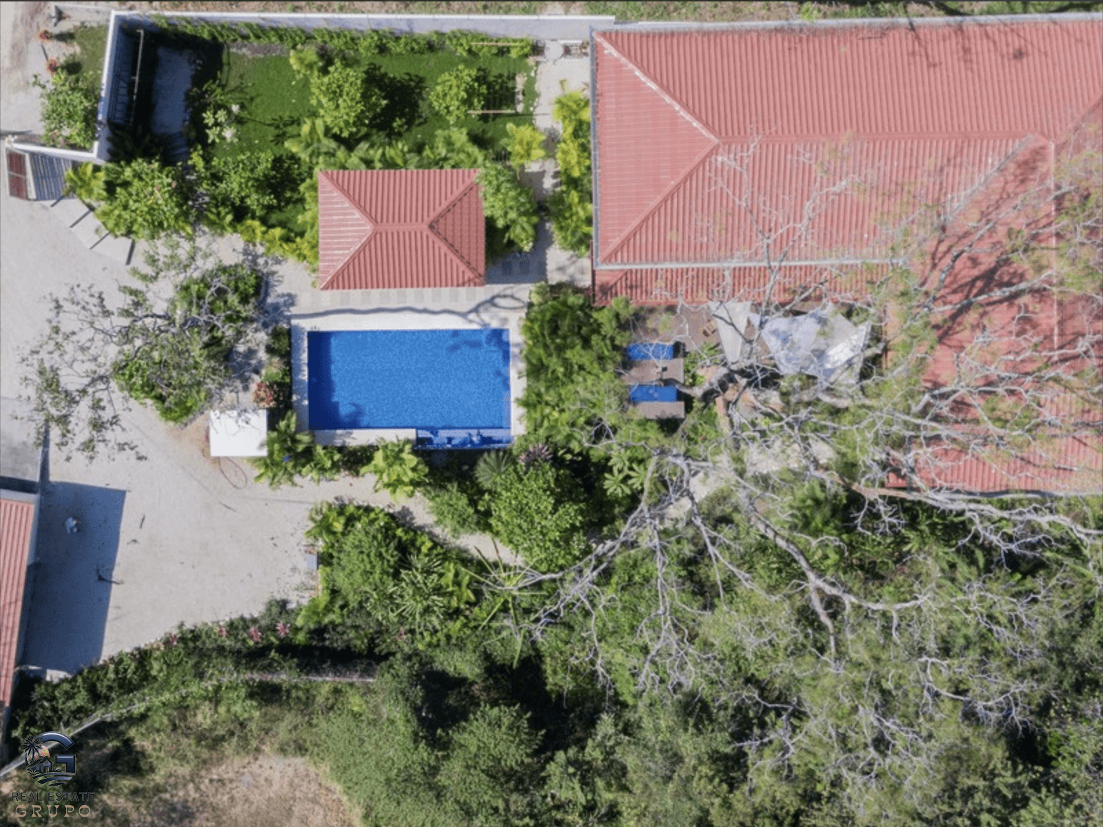 צילום מסך 2024-01-30 ב-15.39.25