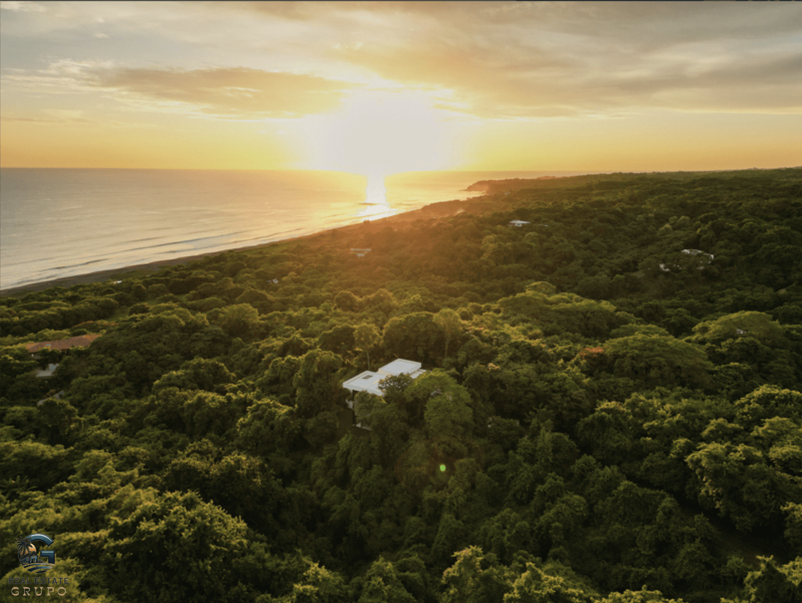 צילום מסך 2024-01-30 ב-16.30.42