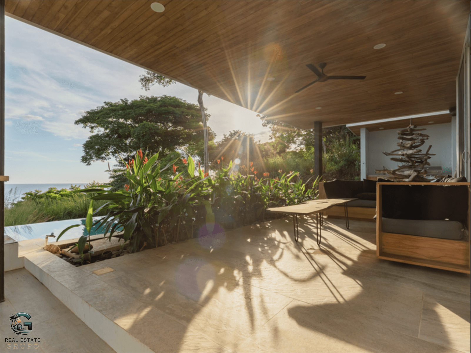 צילום מסך 2024-01-30 ב-16.31.05