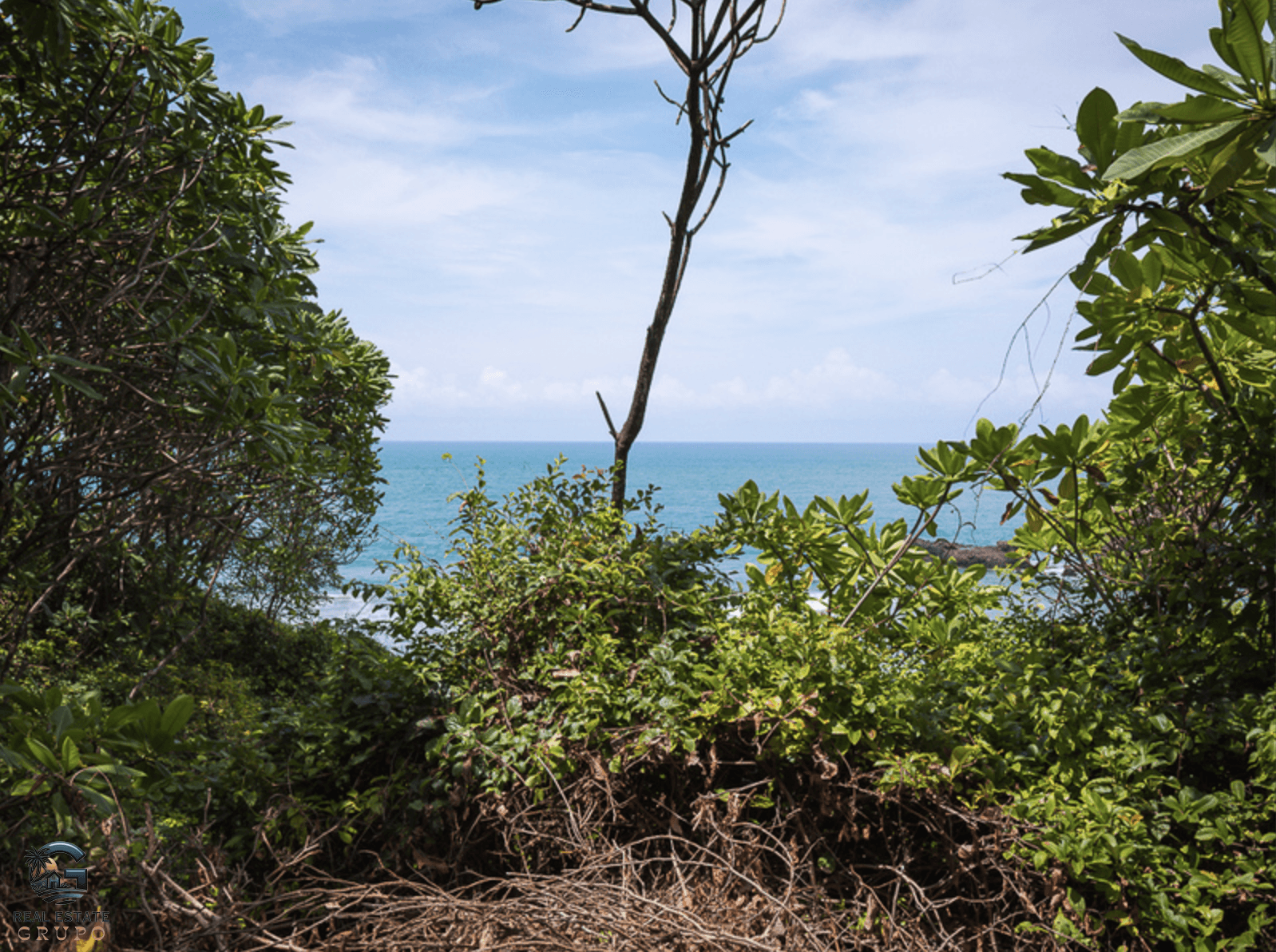 צילום מסך 2024-01-30 ב-9.19.50
