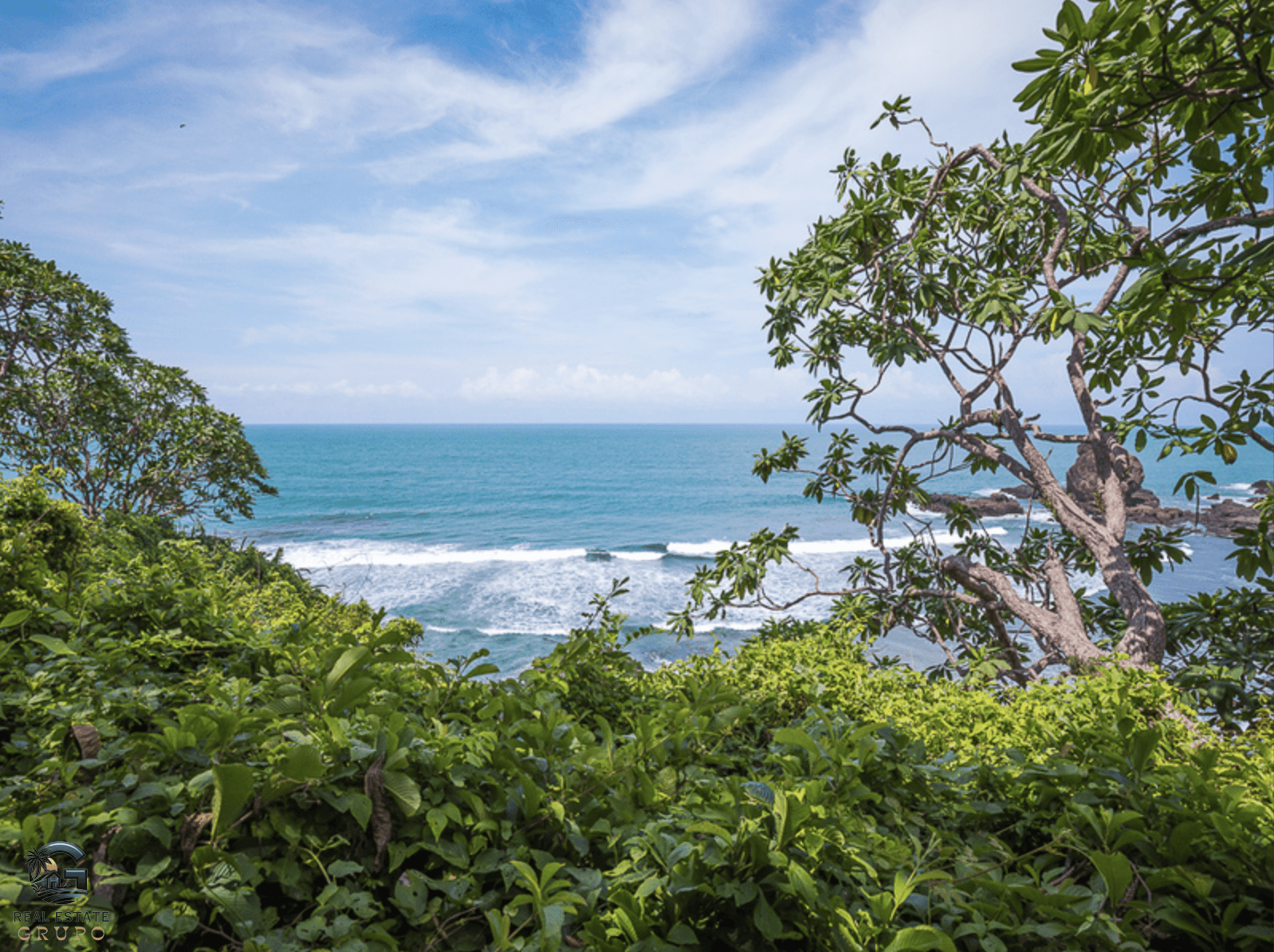 צילום מסך 2024-01-30 ב-9.20.00