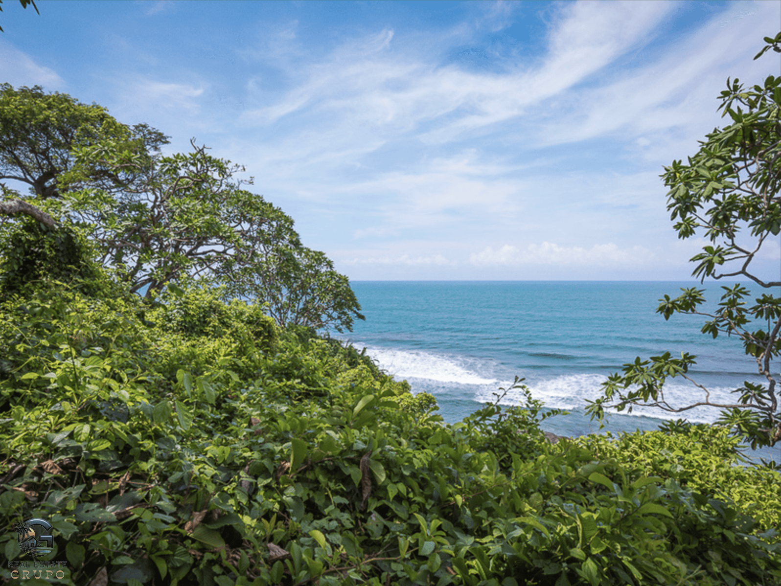 צילום מסך 2024-01-30 ב-9.20.04