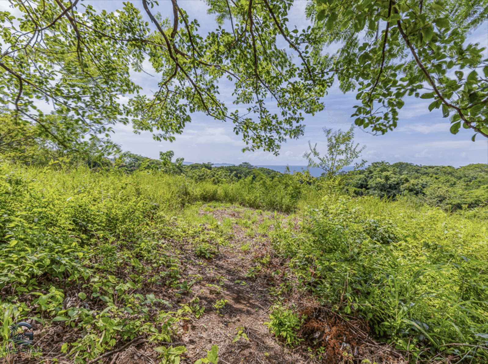 צילום מסך 2024-01-30 ב-9.20.15