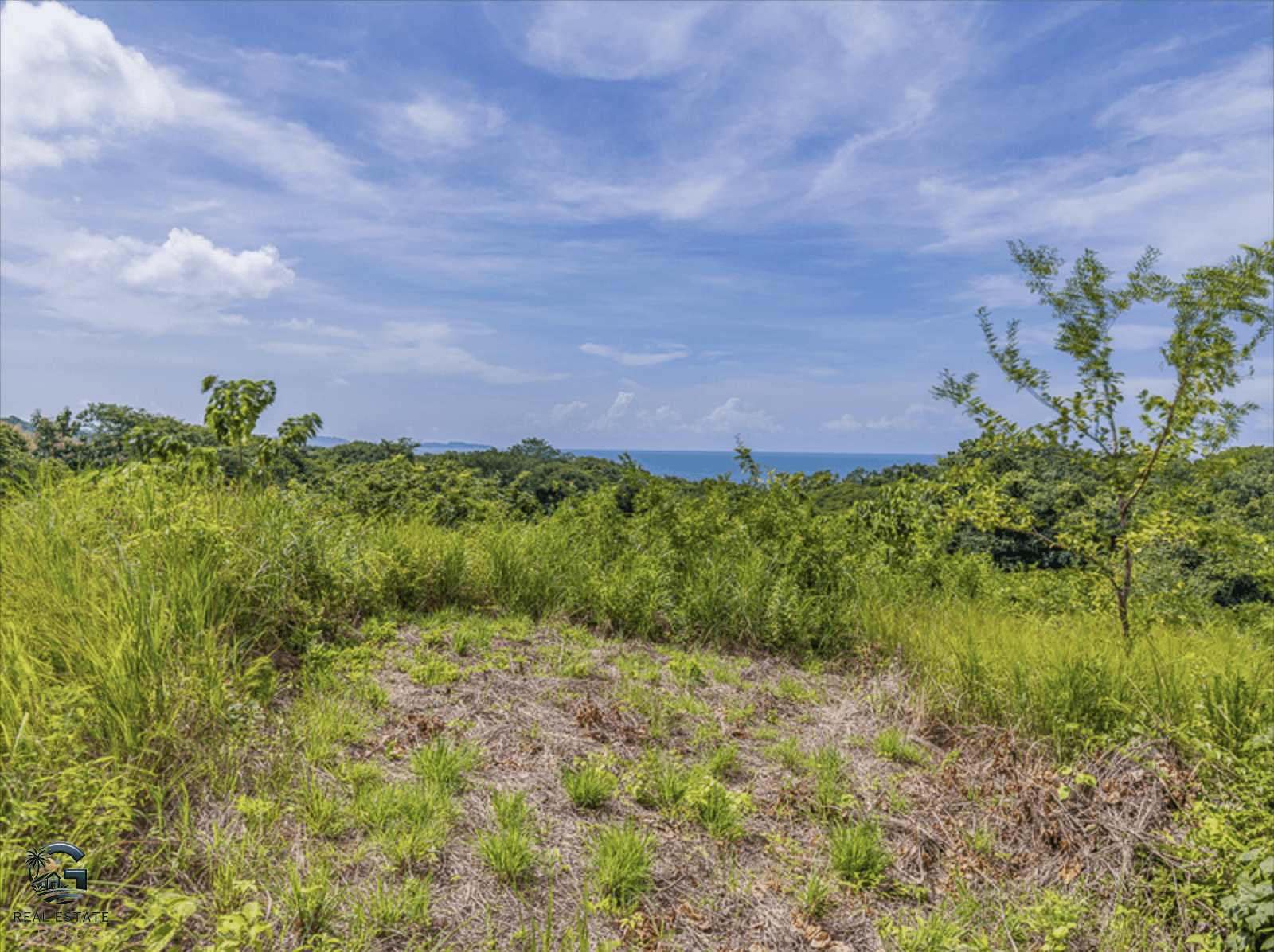 צילום מסך 2024-01-30 ב-9.20.20
