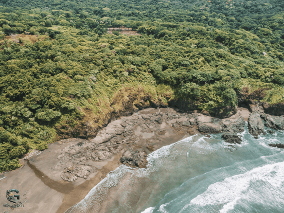 צילום מסך 2024-01-30 ב-9.20.50