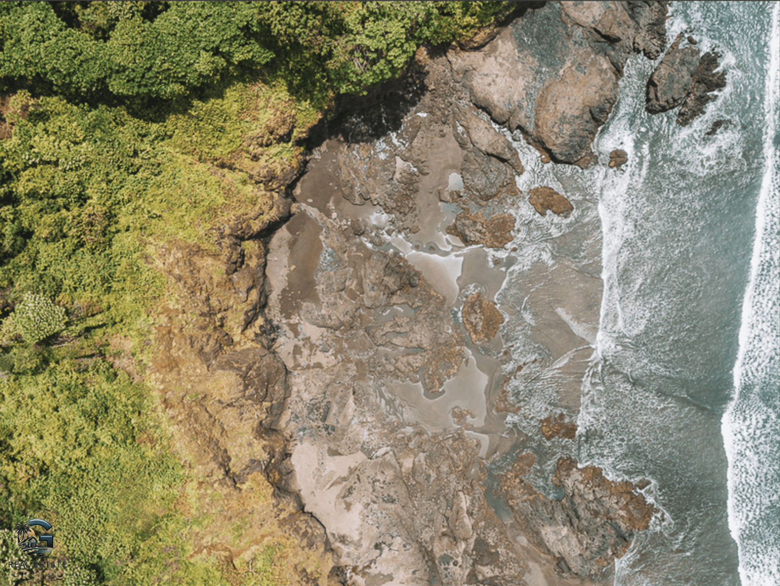 צילום מסך 2024-01-30 ב-9.20.57