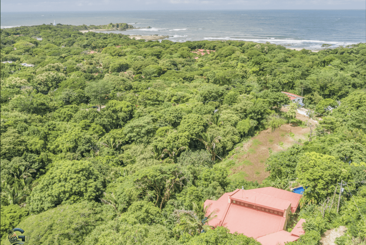 צילום מסך 2024-01-30 ב-9.40.46