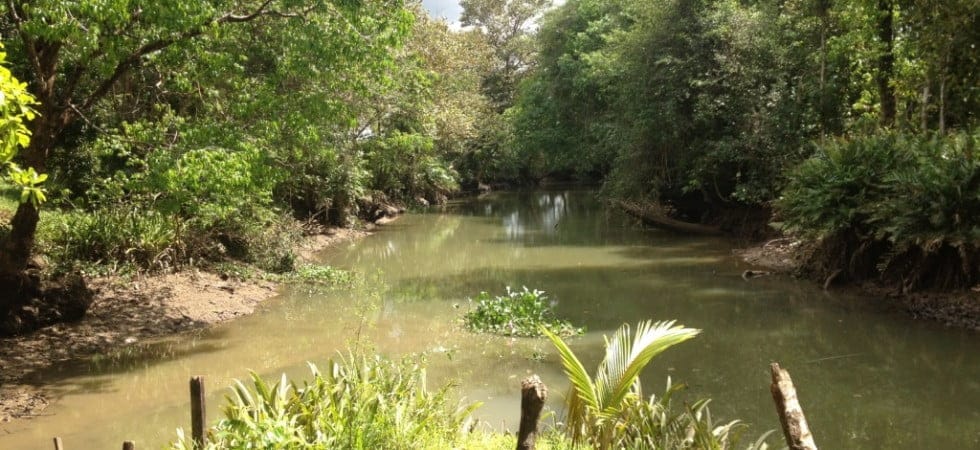 02-Cortes-28-980x450