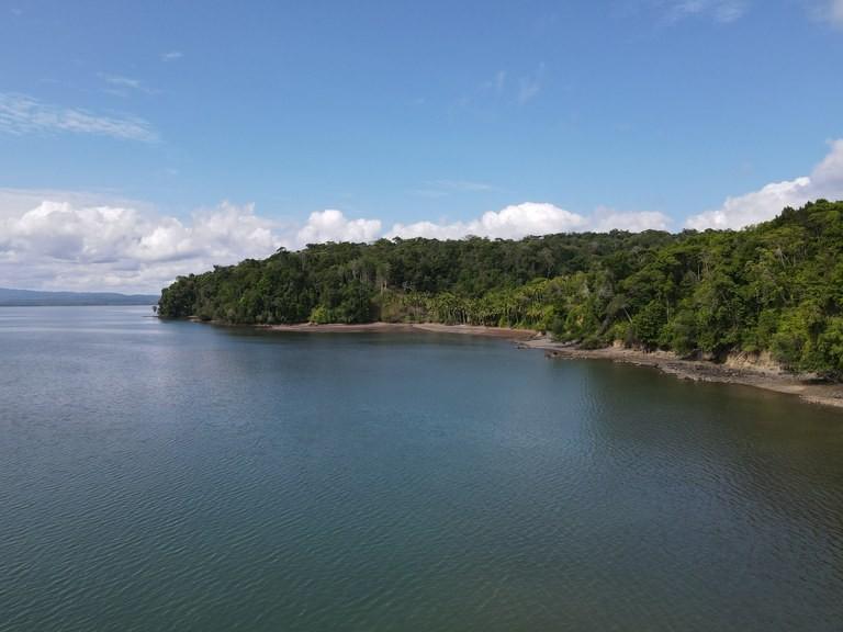 119c4a882c147b27b44522993167550a-min