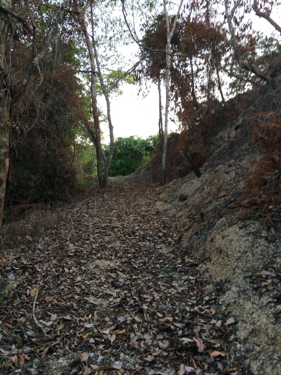 1559617d-6d5c-479f-8b76-774dde0565b0