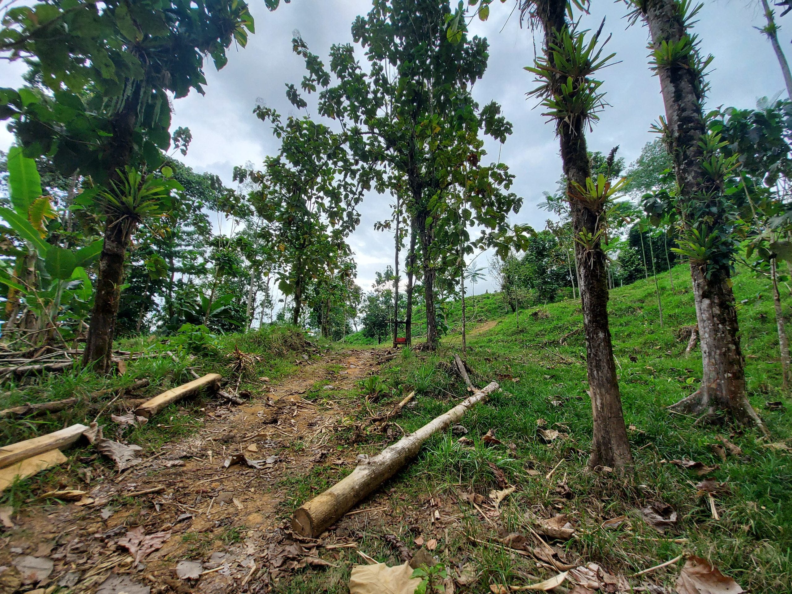 20210318_152230-scaled