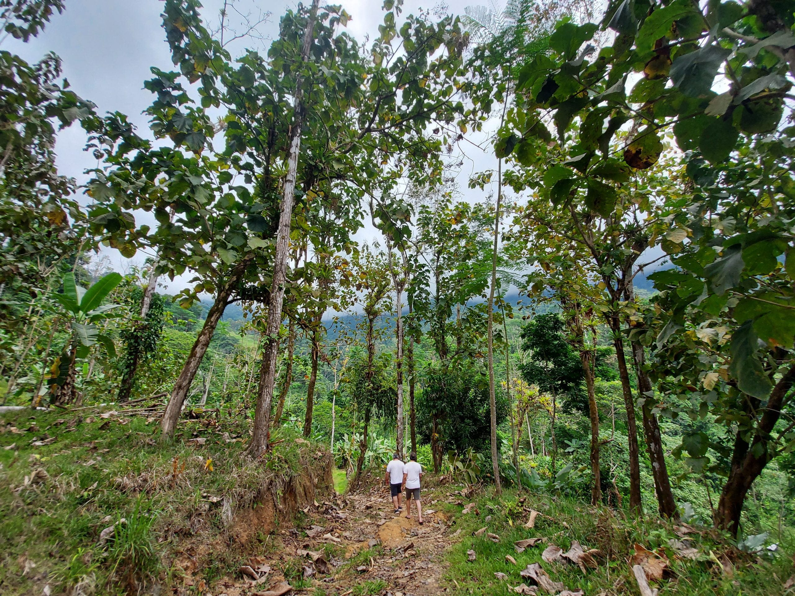 20210318_152241-scaled