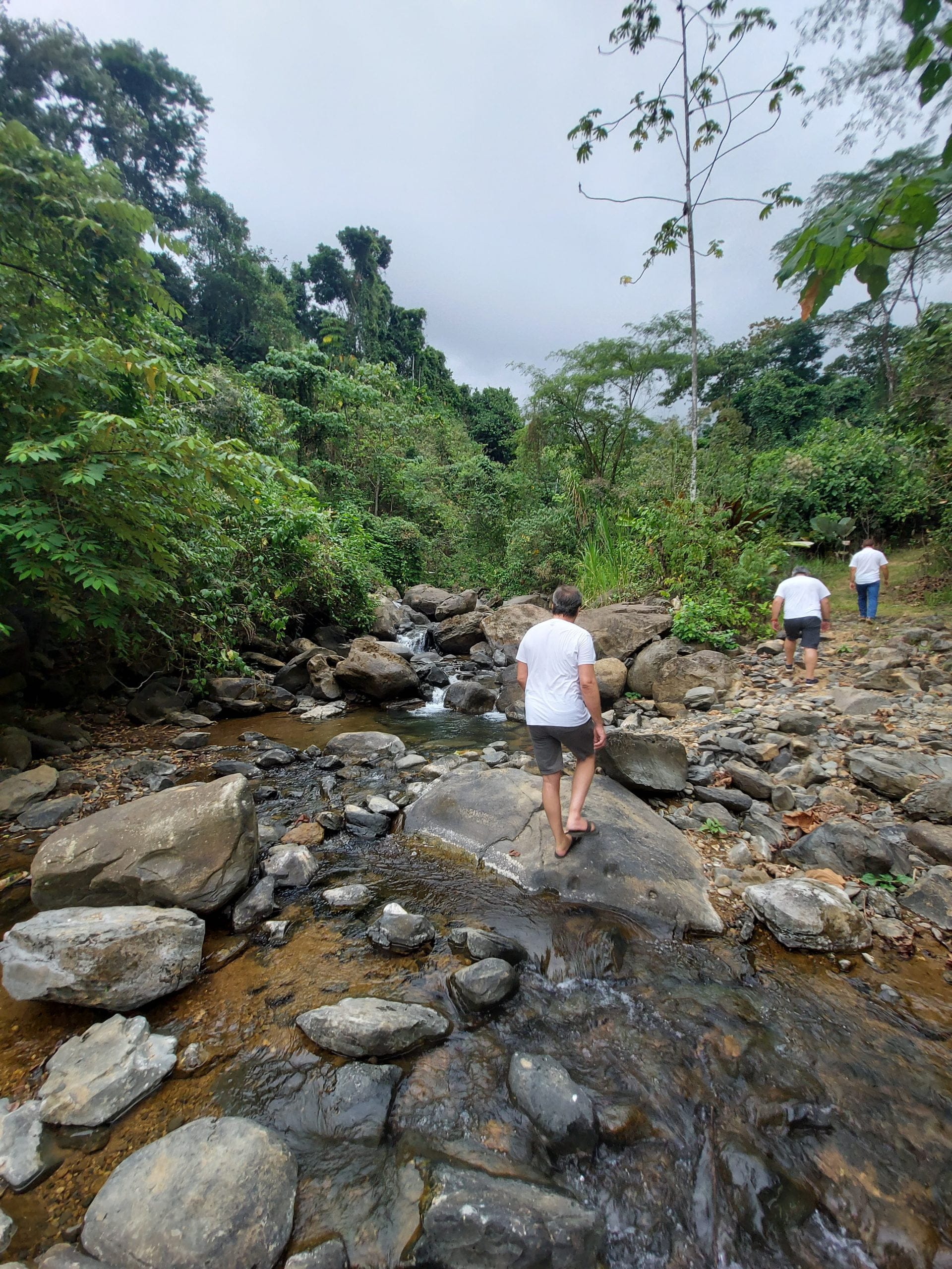 20210318_152809-scaled