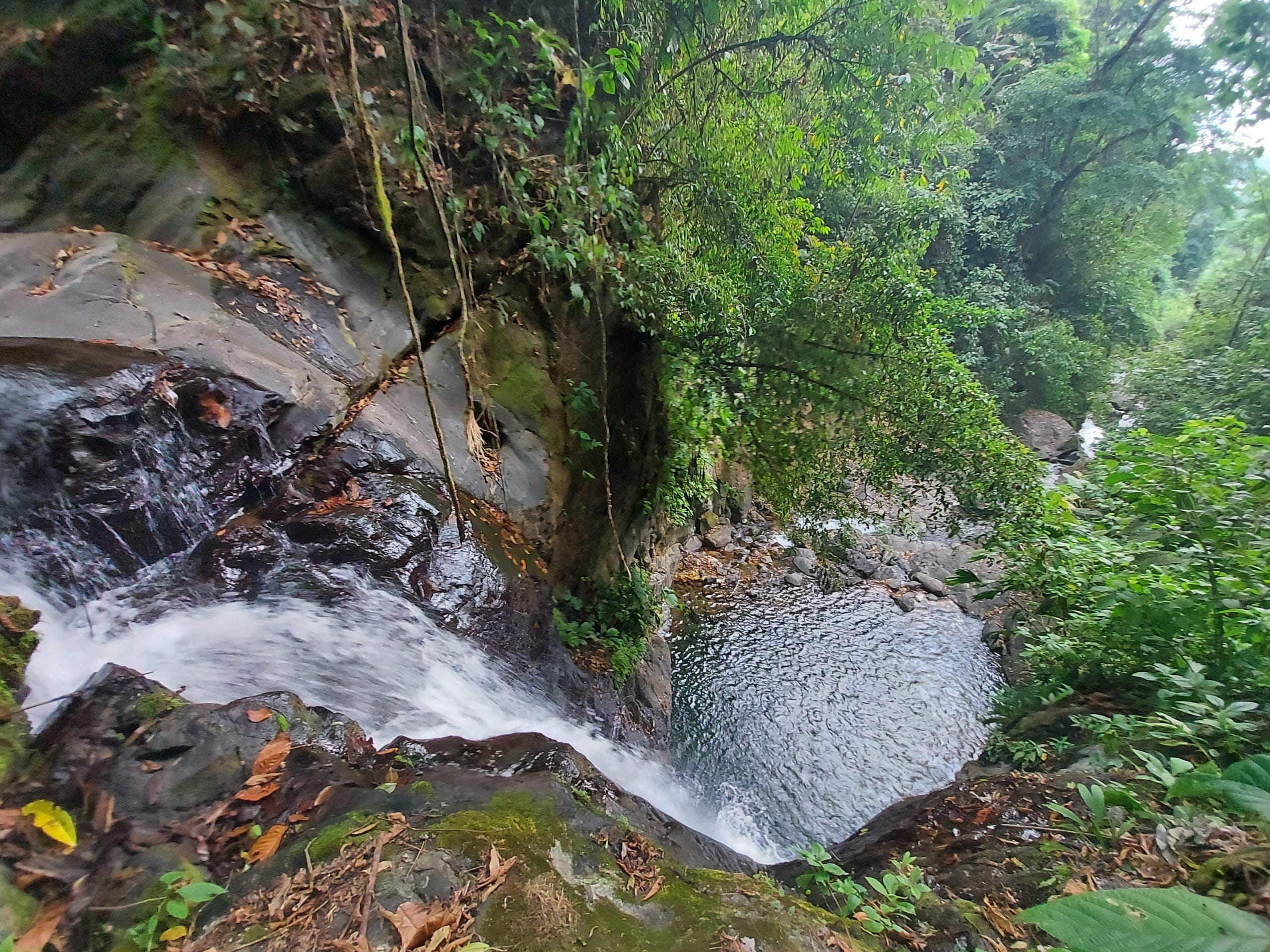 20210318_155604-scaled