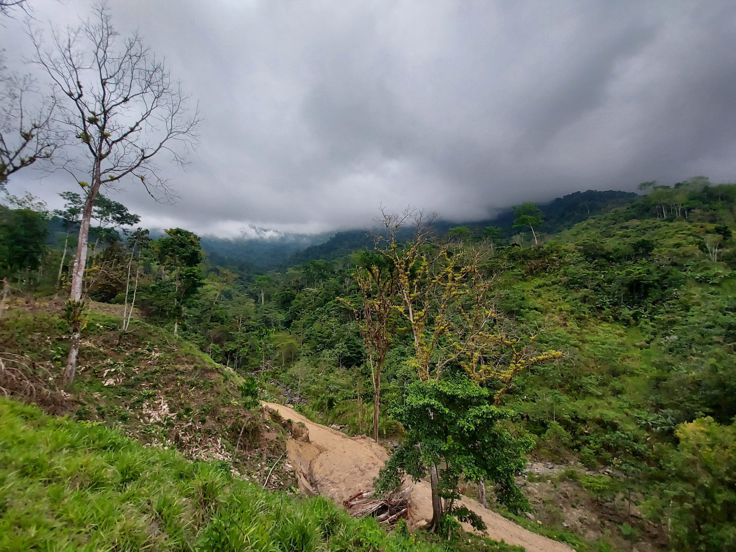 20210318_165636-scaled