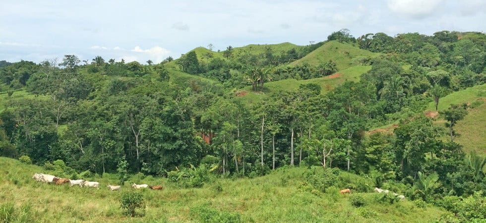 20979074574_66545b44ff_k-980x450