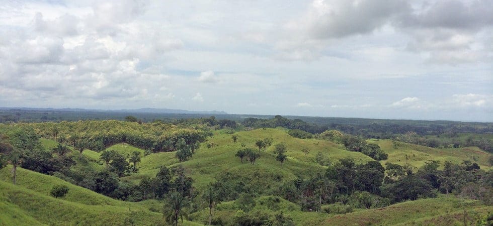 20979084134_a29a52a451_k-980x450