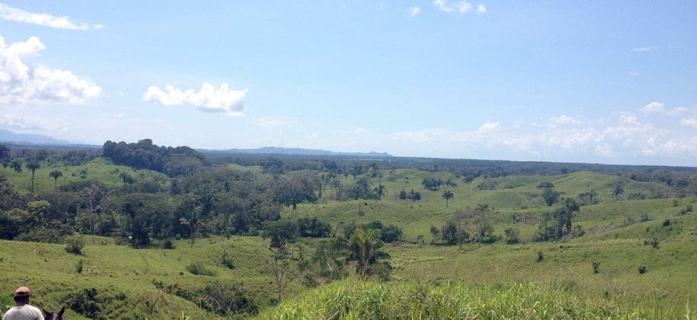 20979318774_6ca7372464_k-980x450