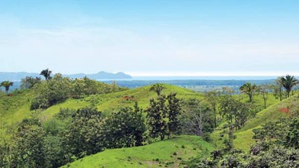 21414900529_a58e9ff6a7_z-800x450