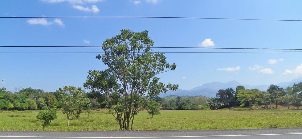 21415024419_658f6a8367_k-980x450