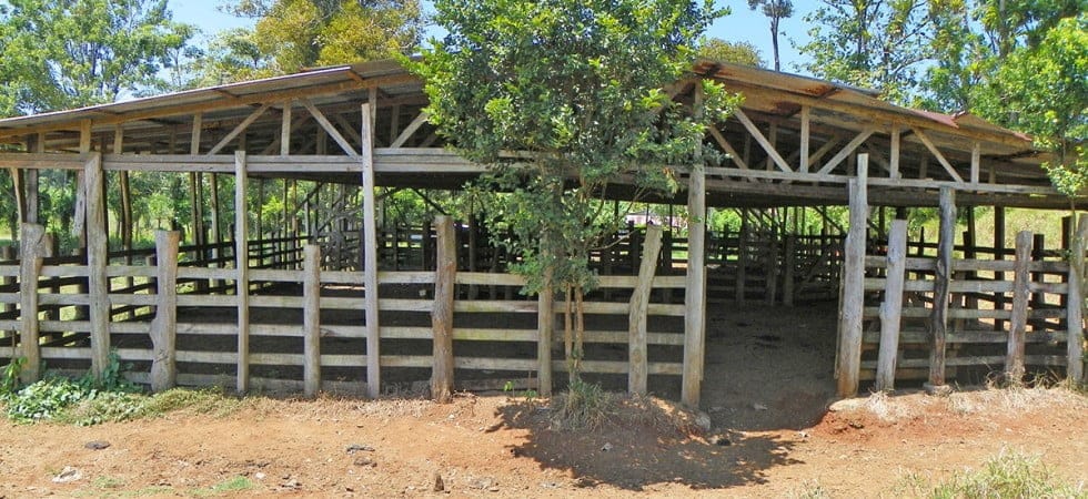 21575885406_fa8bebdbe8_k-980x450