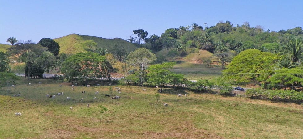 21610890751_214627a3c8_k-980x450