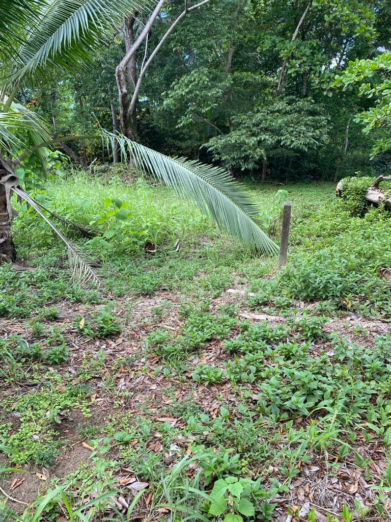 671be759-2303-4006-bbc1-e6464ec2ad41