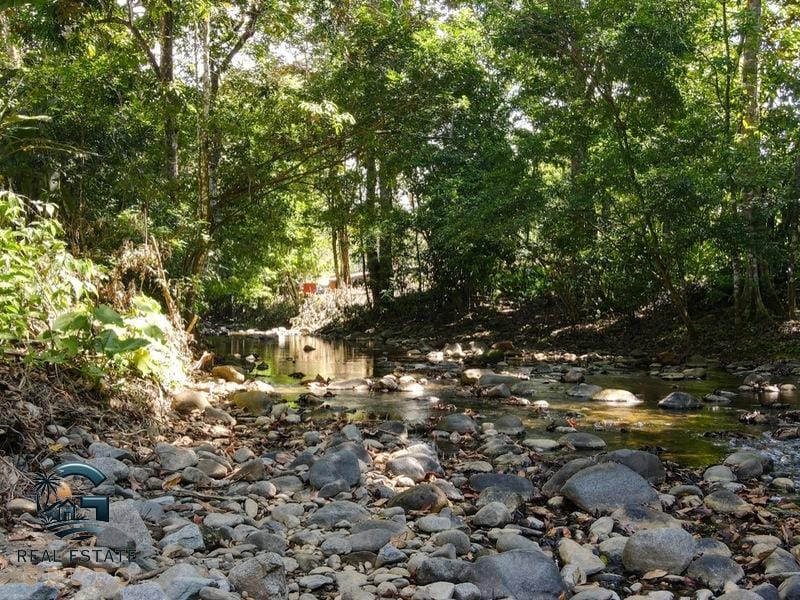 8124 Lote Entrada Ojochal 01