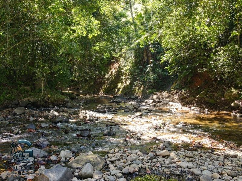 8124 Lote Entrada Ojochal 02