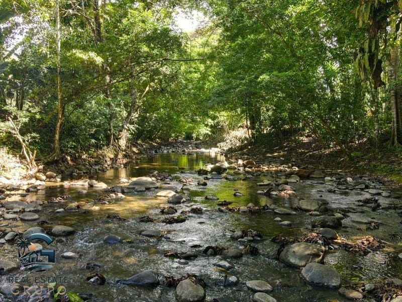 8124 Lote Entrada Ojochal 03