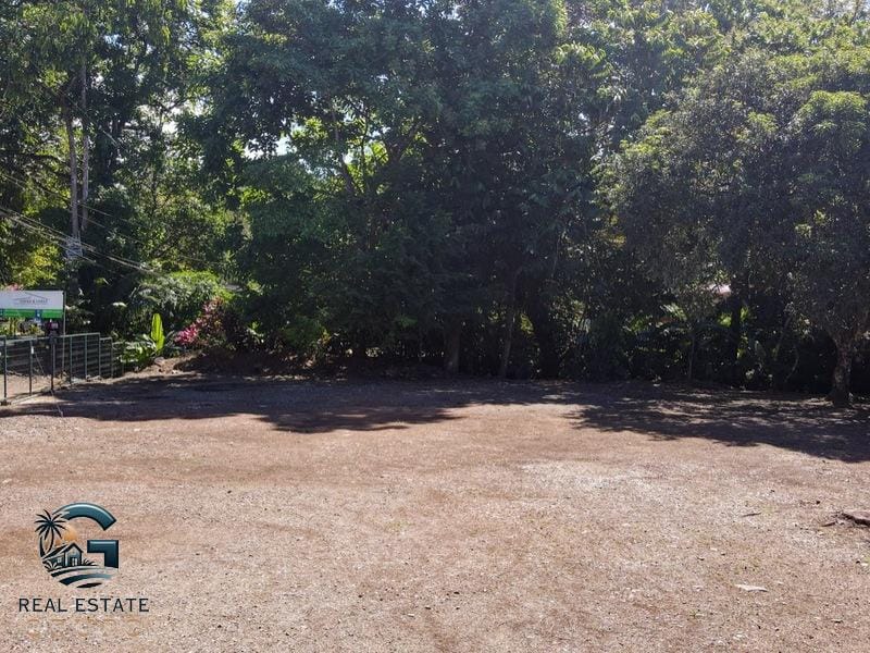 8124 Lote Entrada Ojochal 08